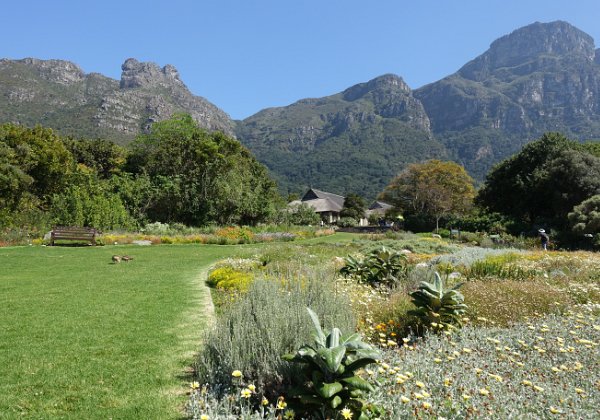 CapeTown Kirstenbosch